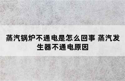 蒸汽锅炉不通电是怎么回事 蒸汽发生器不通电原因